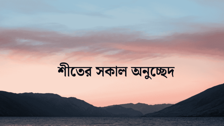 শীতের সকাল অনুচ্ছেদ