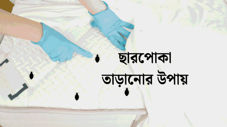 ছারপোকা তাড়ানোর উপায়