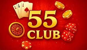 55 Club: Digital Platform Features, Accessibility, and Business Opportunities